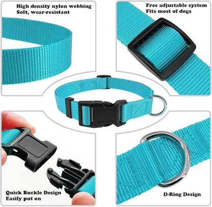 Dog Collar Light Blue Basic Dog Collars - Image 3