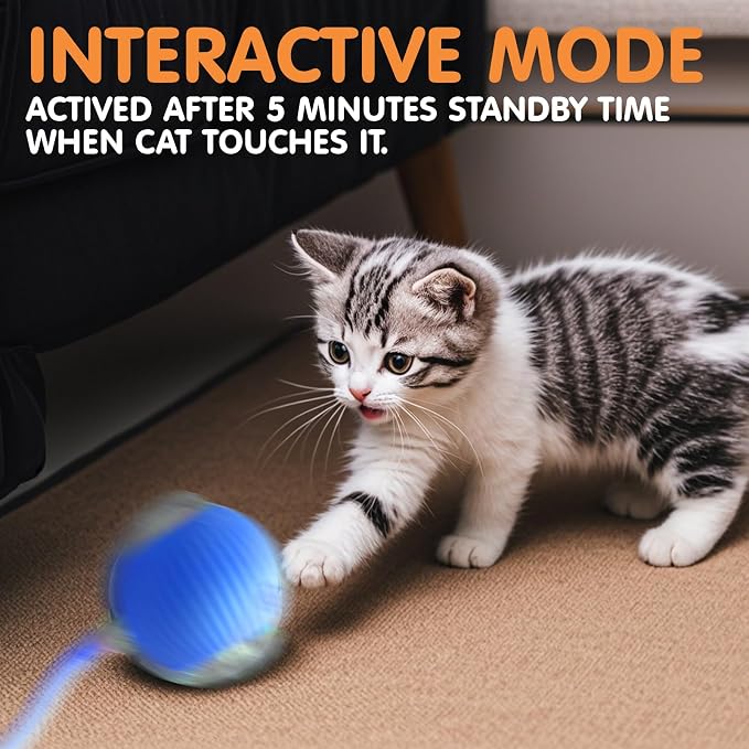Rocfish Durable Interactive Cat Toys - Image 6