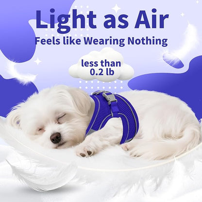 AIITLE Dog Harness, No-Pull Cat Harness - Image 8