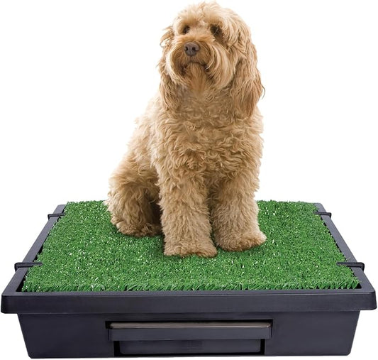 PetSafe Pet Loo Portable Dog Potty by PetSafe