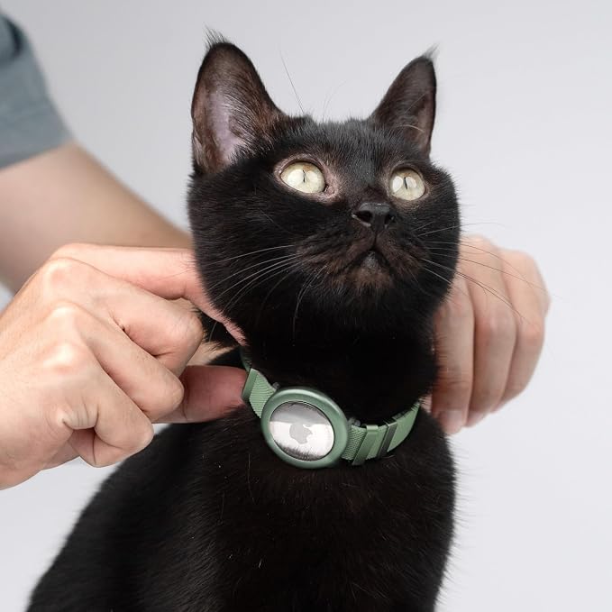 Safety Cat Collar - Image 7