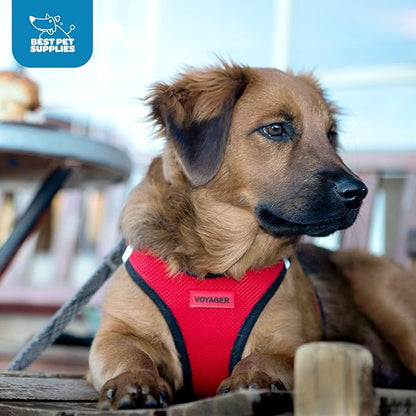 Best Pet Supplies Voyager Step-in Air Harness - Image 10