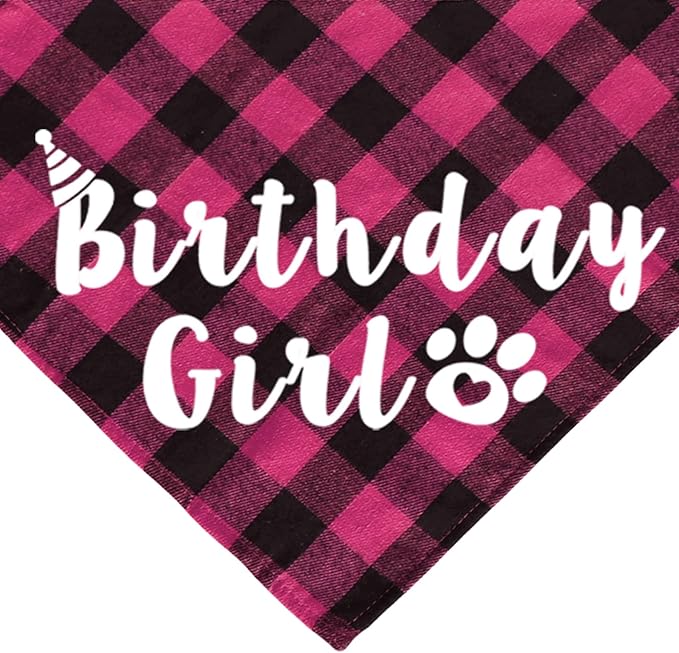 Cat Birthday Party Supplies, Cat Birthday Hat Crown - Image 6