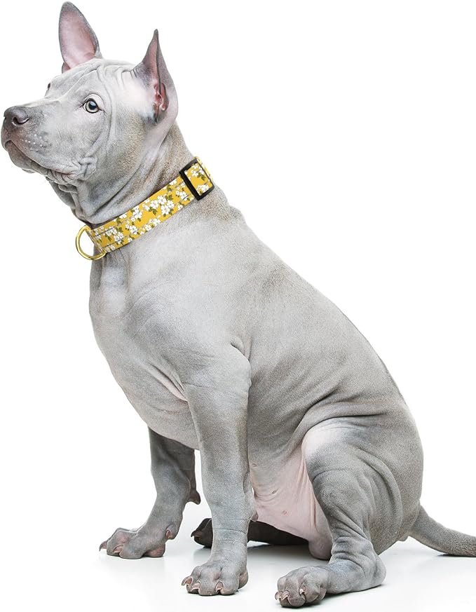 Reflective Dog Collar for Medium Dogs, Cute Flower Theme Adjustable Heavy-Duty - Image 2