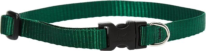 LupinePet Basics 1/2" Green 10-16" Adjustable Collar by LupinePet