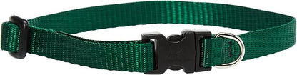 LupinePet Basics 1/2" Green 10-16" Adjustable Collar by LupinePet