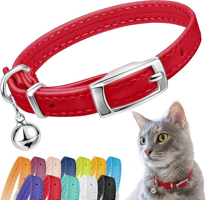 CollarDirect Leather Cat Collar by CollarDirect