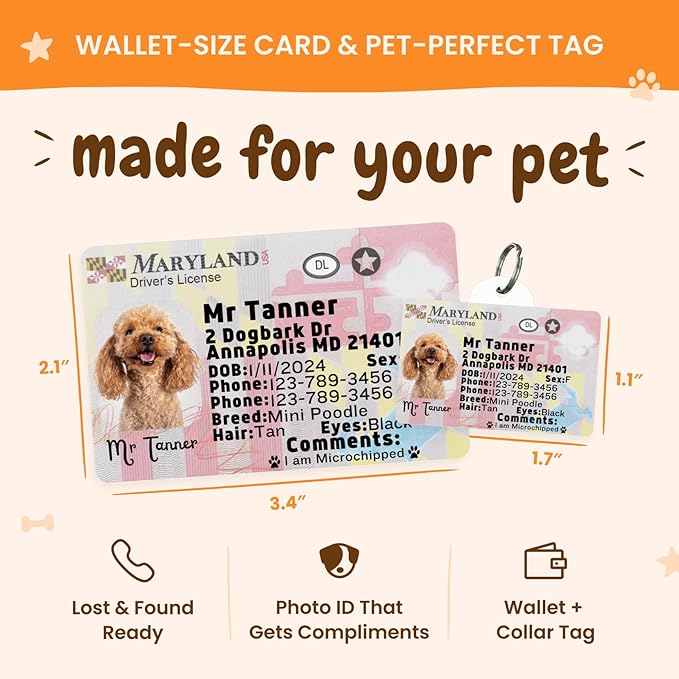 PawFurEver Personalized Dog Driver License ID Tag - Image 3