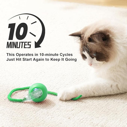 2025 New 1Pack Cat Ball Kitten Toys - Image 3
