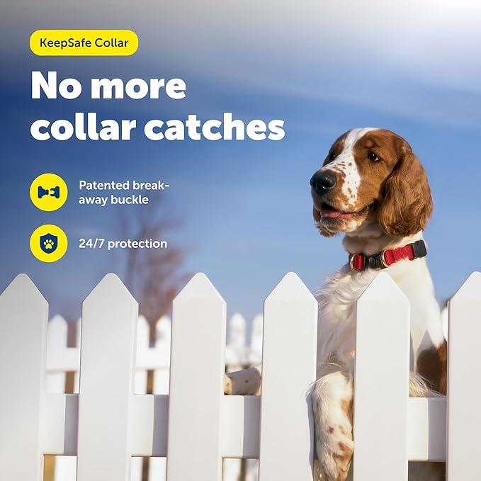 PetSafe KeepSafe Collar for Dogs - Image 2