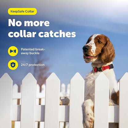 PetSafe KeepSafe Collar for Dogs - Image 2