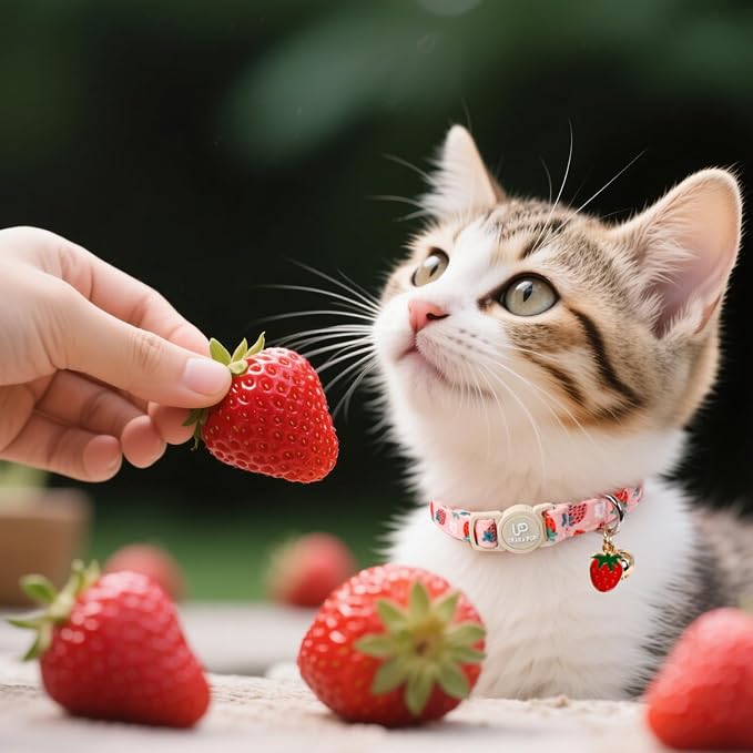 Cat Collar, Cat Collar with Bell, - Image 4
