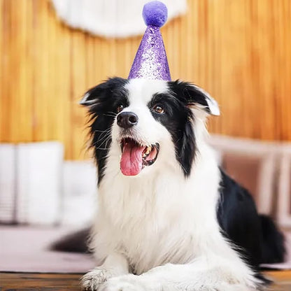 PET SHOW 5 Pack Small Dog Birthday Hats Party Hats - Image 7