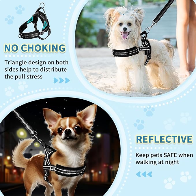 SlowTon No Pull Small Dog Harness and Leash Set, Puppy Soft Vest Harness Neck & - Image 3