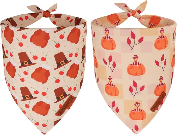 ADOGGYGO Thanksgiving Dog Bandanas 2 Pack, Reversible Turkey Pumpkin Pet Scarf by ADOGGYGO