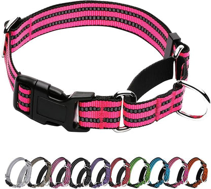 Martingale Dog Collar, Adjustable Nylon Reflective Collar by JOYEEIIOO