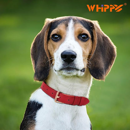 WHIPPY Leather Dog Collar for Small Medium Large Dog Adjustable Soft Breathable - Image 2