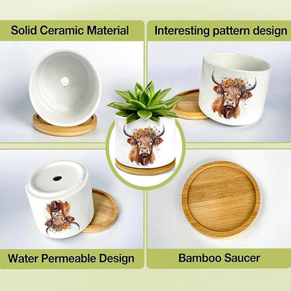 Highland Cow Succulent Pots 3 Pack, 3 Inch Succulent Planters - Image 4