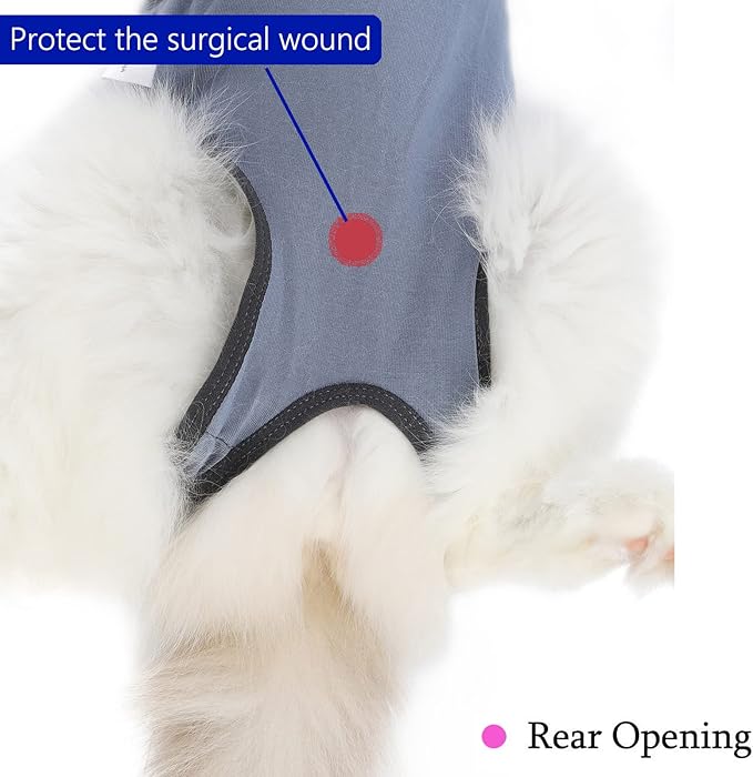 Cat Surgery Recovery Suit Cat Onesie - Image 4