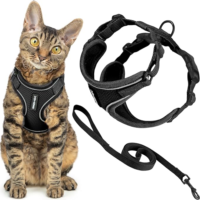 Voyager Escape-Proof Step-in Lock Cat Harness & 5ft Neoprene-Handle Leash Set by BestPetSuppliesLLC