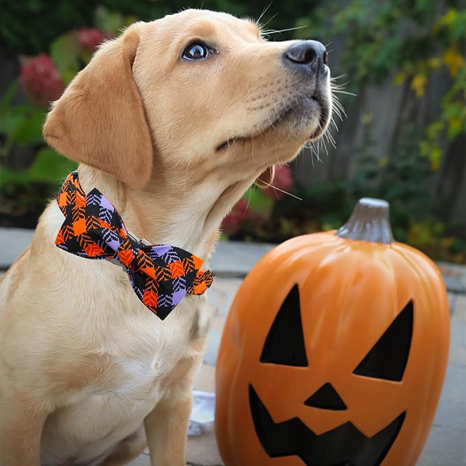 Halloween Dog Collar, Pet Collar Bow Plaid Puppy Collars Girl Boy Holiday Pet - Image 4