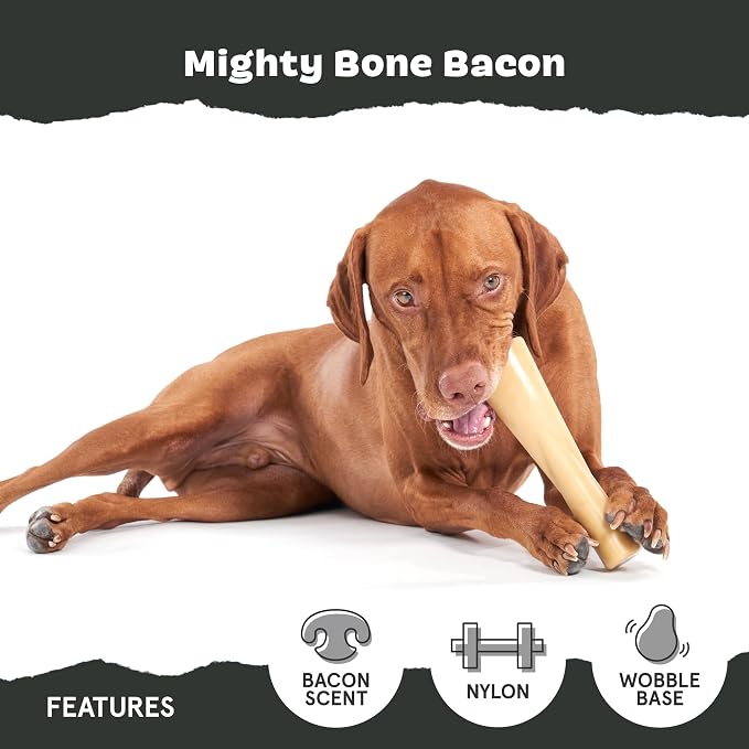 Barkbox Super Chewer Tough Dog Chew Toys - Image 4