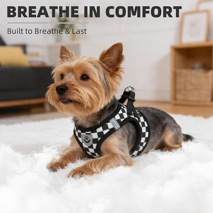 PUPTECK Adjustable Dog Harness Collar and Leash Set Step in No Pull Pet Harness - Image 6