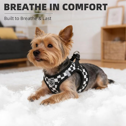 PUPTECK Adjustable Dog Harness Collar and Leash Set Step in No Pull Pet Harness - Image 6