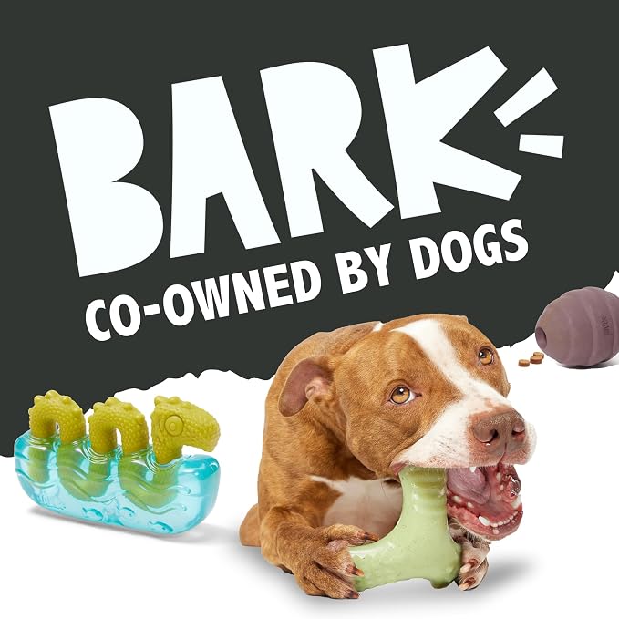 Barkbox Drac Casket Dog Toy – Treat Dispensing, Natural Rubber, Wacky Bounce - Image 6