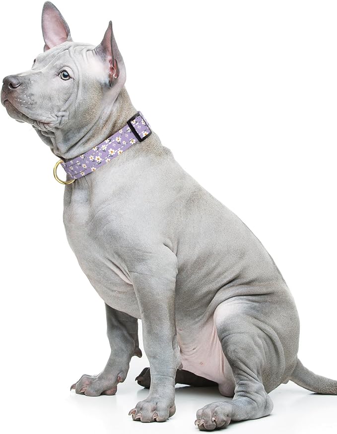 Reflective Dog Collar for Medium Dogs, Cute Flower Theme Adjustable Heavy-Duty - Image 2