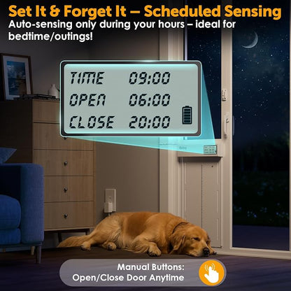 Automatic Sliding Glass Dog Door - Image 3