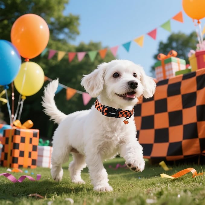 DOGWONG Fall Dog Collar - Image 5