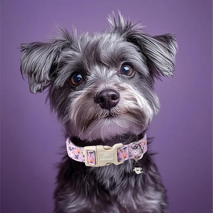 Halloween Dog Collar Cute Wizard Ghost Puppy Collar - Image 2