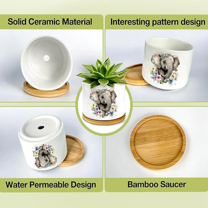 Elephants Succulent Pots 3 Pack, 3 Inch Succulent Planters - Image 4
