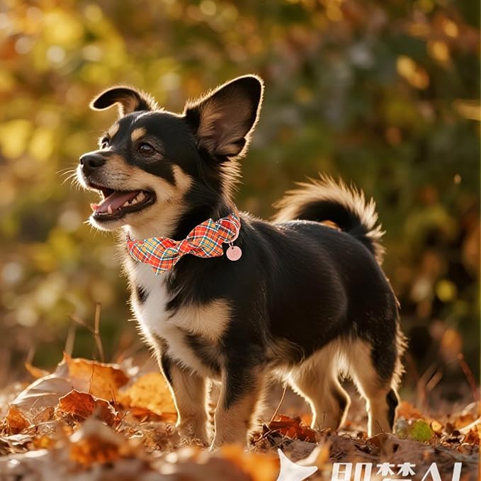 Autumn Plaid Dog Collar and Bow Tie Set – Orange Yellow Checkered Adjustable - Image 6