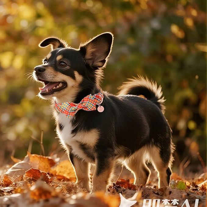 Autumn Plaid Dog Collar and Bow Tie Set – Orange Yellow Checkered Adjustable - Image 6