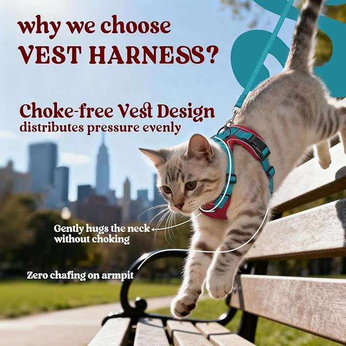 rabbitgoo Cat Harness and Leash - Image 3