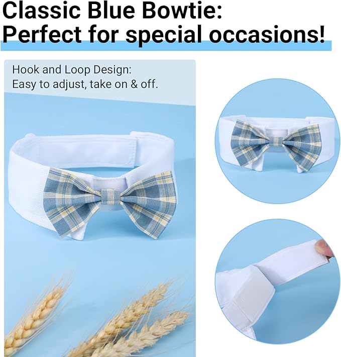 Segarty Dog Bow Tie, Adjustable Blue Plaid Bowtie Collar - Image 3