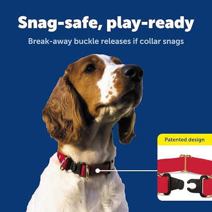 PetSafe KeepSafe Collar for Dogs - Image 3