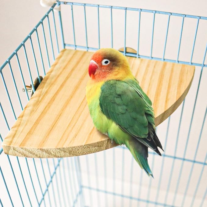 2 Pack Bird Perch Platform, Parrot Stand Sector Playground Wood Perch Stand Toy - Image 3