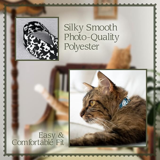 Country Brook Petz - Image 3