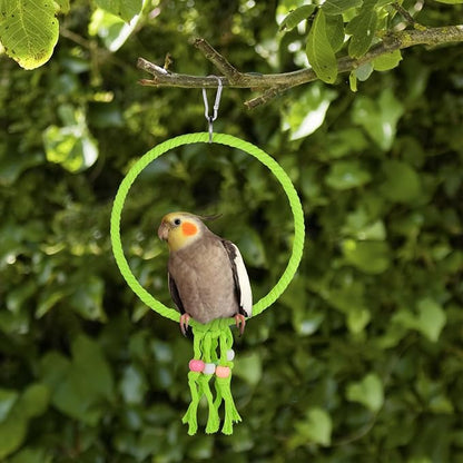 Bird Swing, 20 CM Diameter Hanging Parrot Swing - Image 6