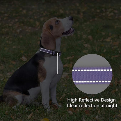 Reflective Dog Collar Padded - Image 5