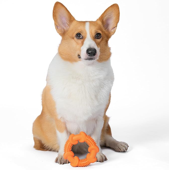 Arm & Hammer for Pets Nubbies Dog Dental Toys Rubber Ring Toy, Peanut Butter - Image 4
