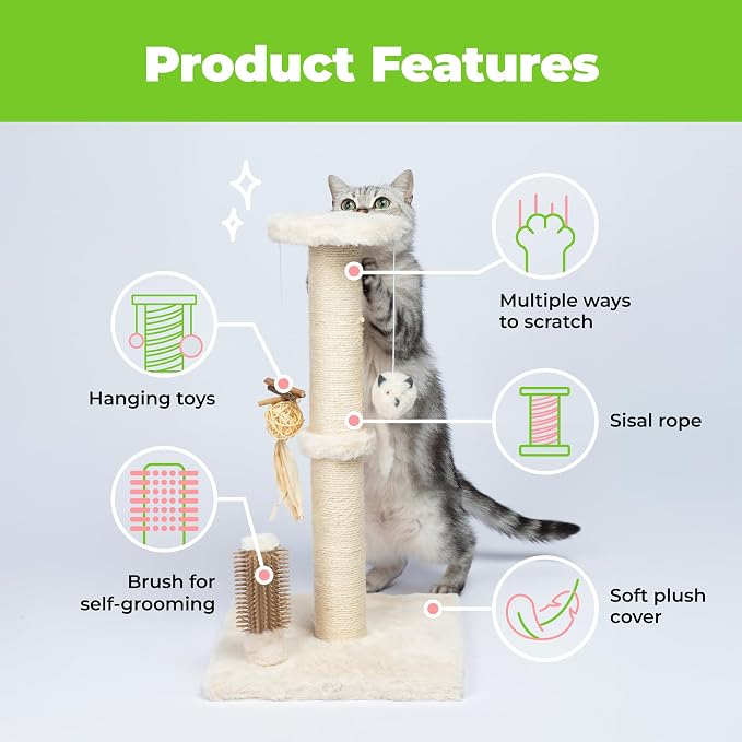 Best Pet Supplies Catify Cat Scratcher, Fun Interactive Scratchers, Claw Safe - Image 4