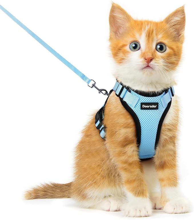 Dooradar Cat Harness and Leash Set, Escape Proof Safe Adjustable Kitten Vest by Dooradar