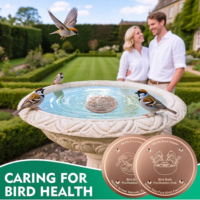 1 Pcs Copper Disc for Bird Bath | 99.99% Pure Copper Plate & Birdbath Disk | - Image 7