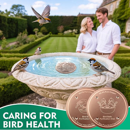 1 Pcs Copper Disc for Bird Bath | 99.99% Pure Copper Plate & Birdbath Disk | - Image 7