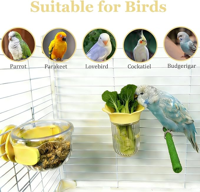 6 PCS Bird Cage Feeder for Vegetable Millet Holder Cage Accessories - Image 7