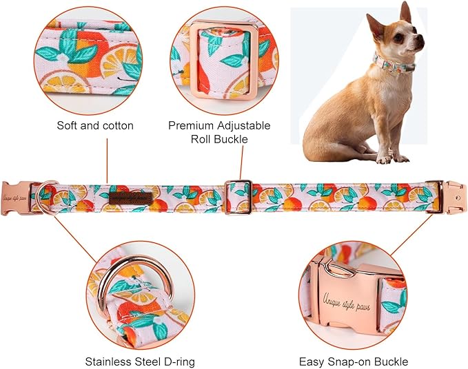 Unique style paws Dog Collar Metal Buckle Orange Collar Gift Durable Cute Collar - Image 2